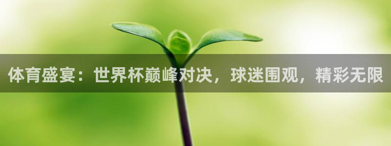 体育盛宴：世界杯巅峰对决，球迷围观，精彩无限