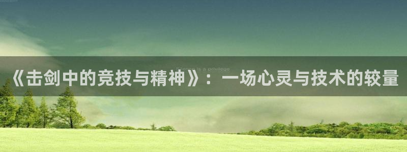 《击剑中的竞技与精神》：一场心灵与技术的较量