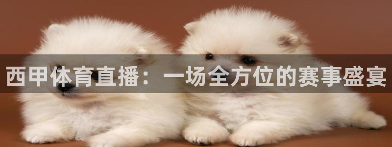 西甲体育直播：一场全方位的赛事盛宴